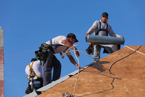 Best Sealant for Roof  in Milledgeville, GA