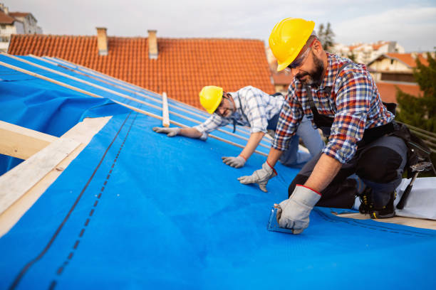 Best Roof Gutter Cleaning  in Milledgeville, GA